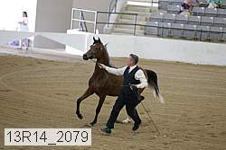 13r14_2079 proof