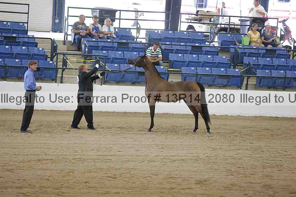 Proof 13r14_2080