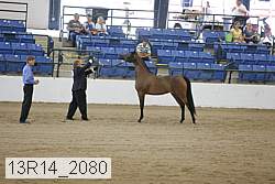 13r14_2080 proof