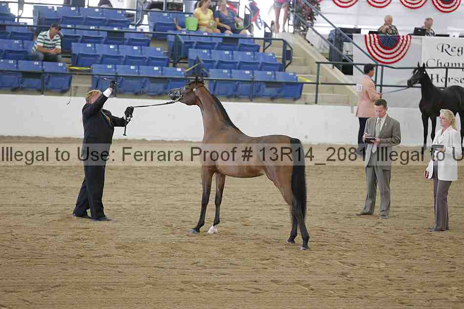 Proof 13r14_2081