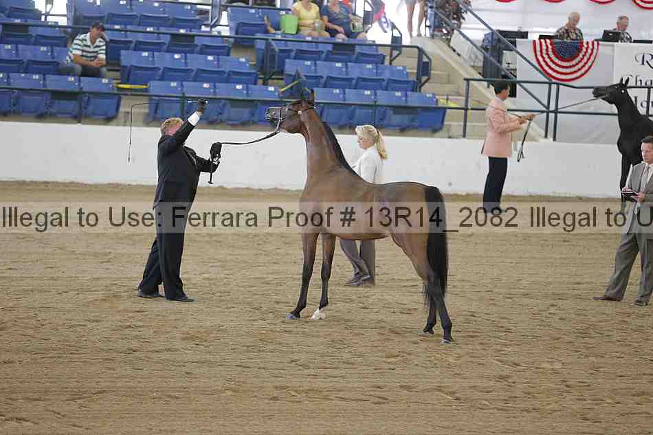 Proof 13r14_2082