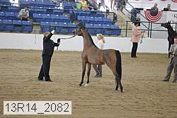 13r14_2082 proof