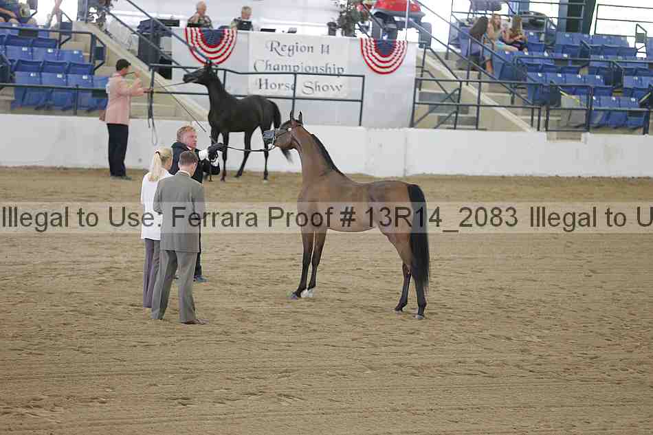 Proof 13r14_2083