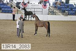 13r14_2083 proof