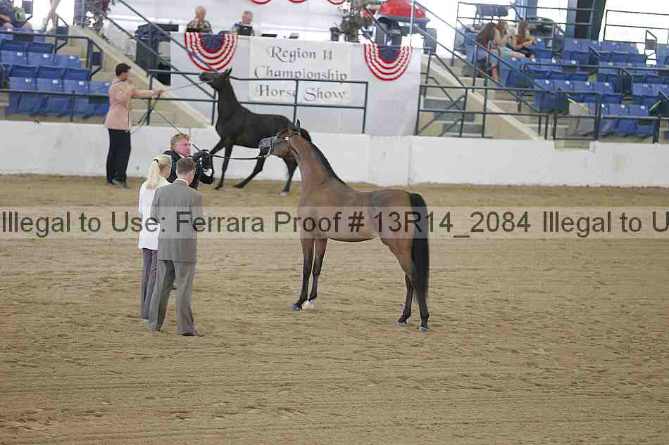 Proof 13r14_2084