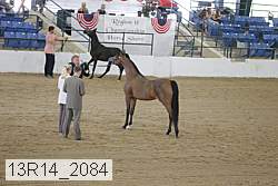 13r14_2084 proof