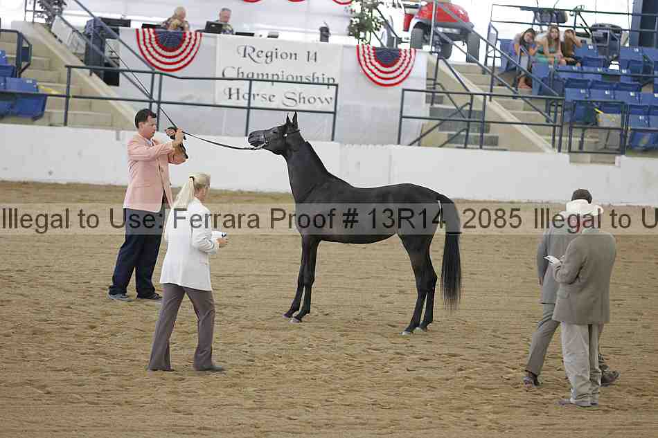 Proof 13r14_2085