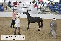 13r14_2085 proof