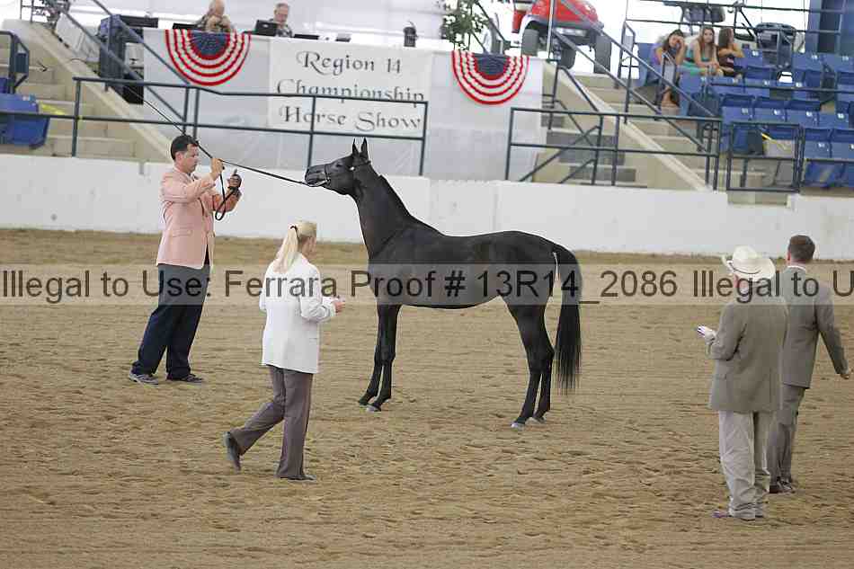 Proof 13r14_2086