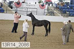 13r14_2086 proof