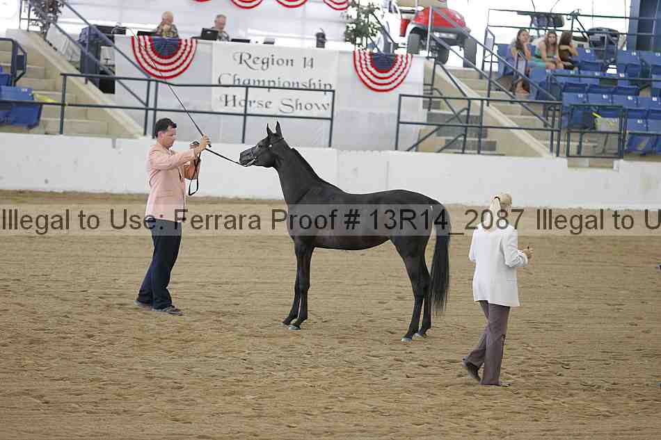 Proof 13r14_2087