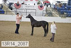 13r14_2087 proof