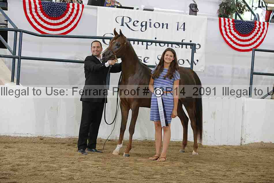 Proof 13r14_2091