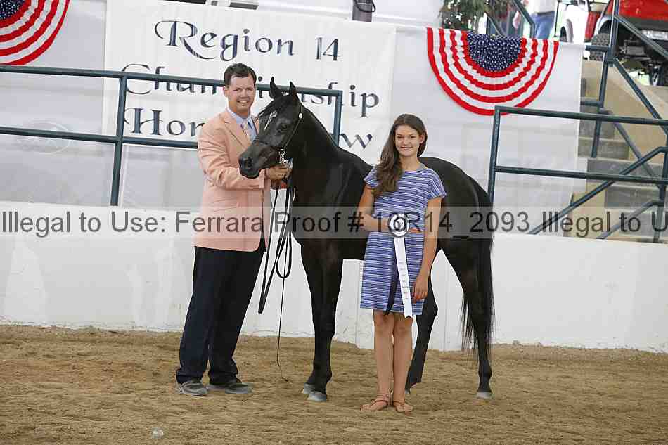 Proof 13r14_2093