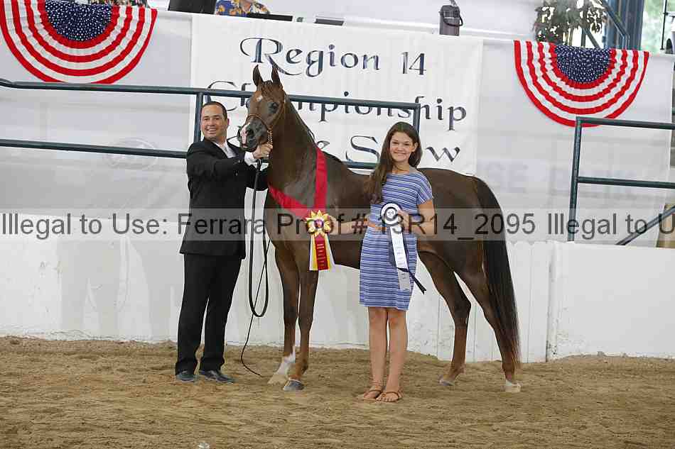 Proof 13r14_2095