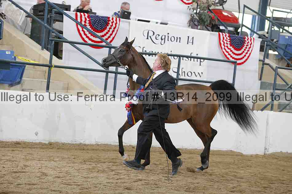 Proof 13r14_2099