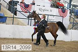 13r14_2099 proof