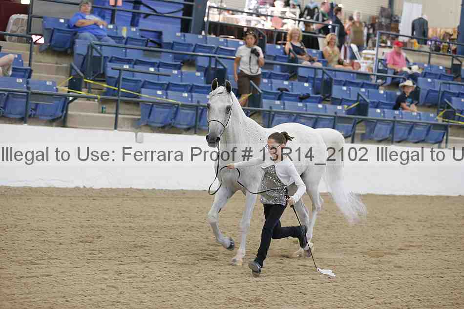 Proof 13r14_2102