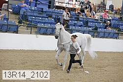 13r14_2102 proof