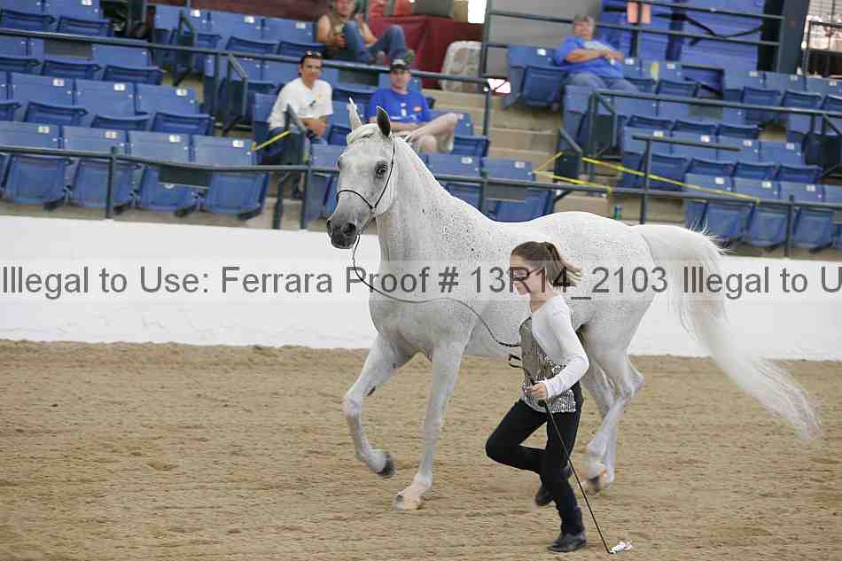 Proof 13r14_2103