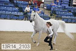 13r14_2103 proof