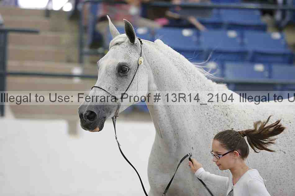 Proof 13r14_2104