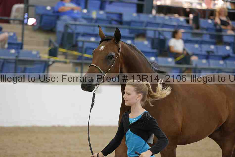 Proof 13r14_2106