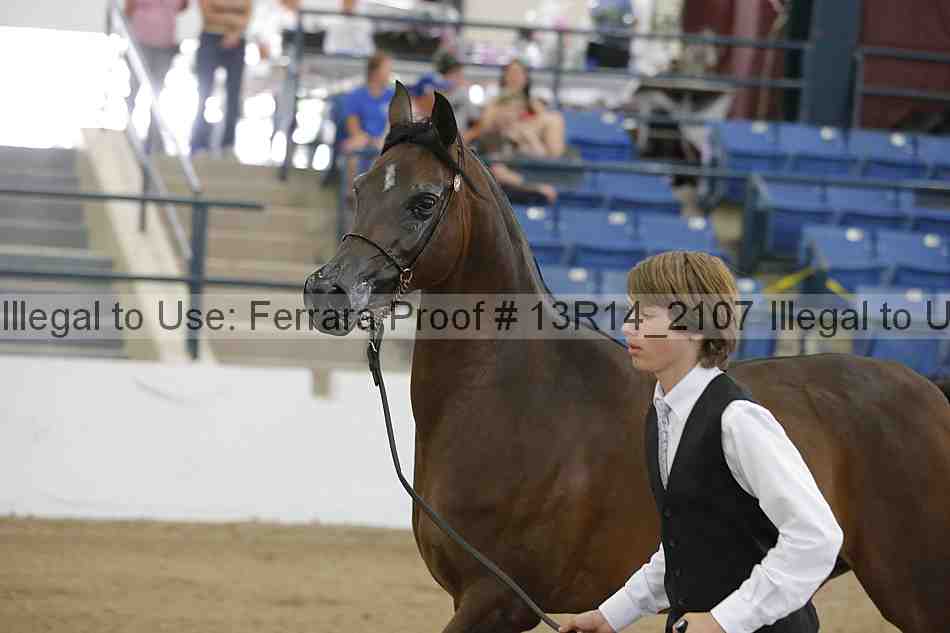 Proof 13r14_2107