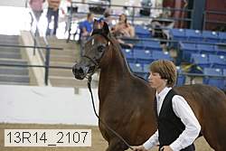 13r14_2107 proof
