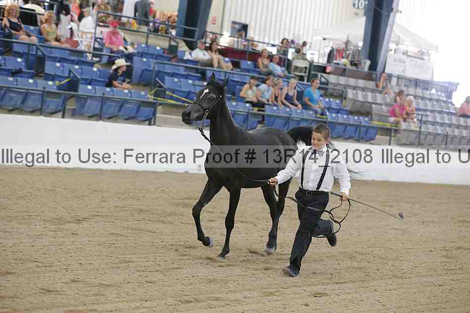 Proof 13r14_2108