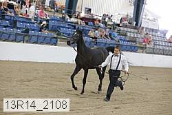 13r14_2108 proof