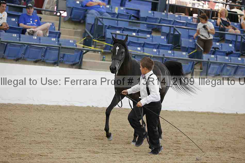 Proof 13r14_2109
