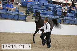 13r14_2109 proof