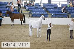 13r14_2111 proof