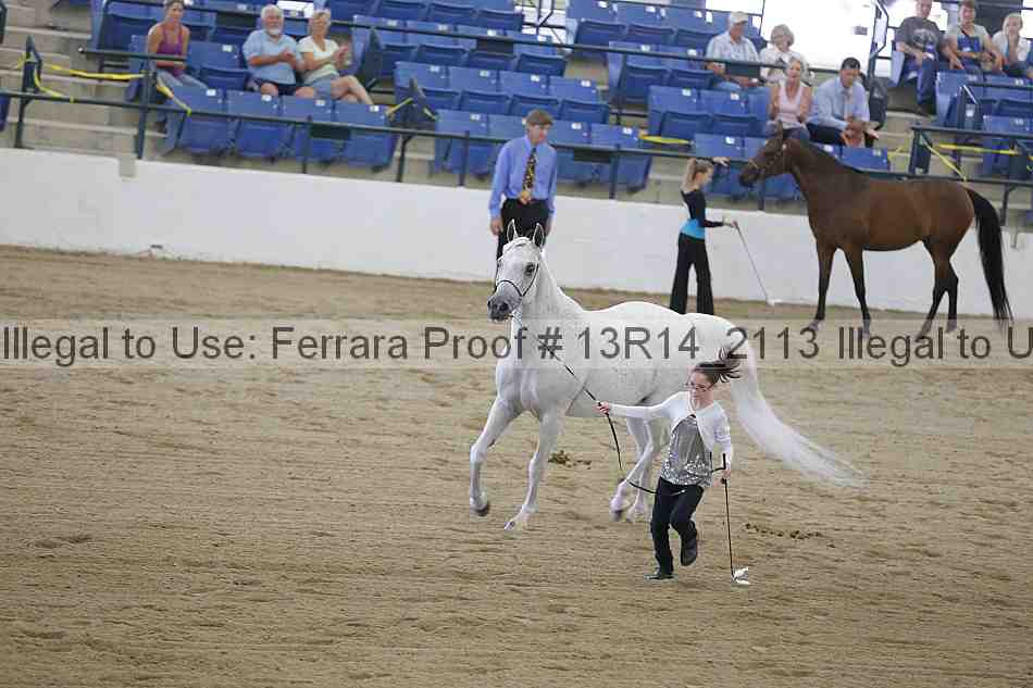 Proof 13r14_2113