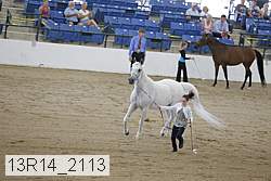 13r14_2113 proof