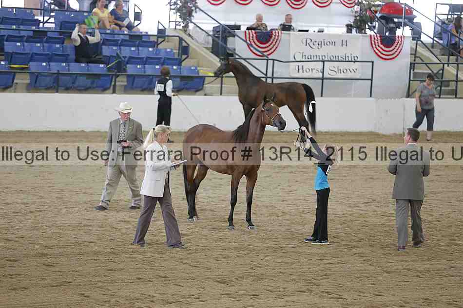 Proof 13r14_2115