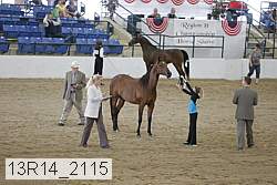13r14_2115 proof