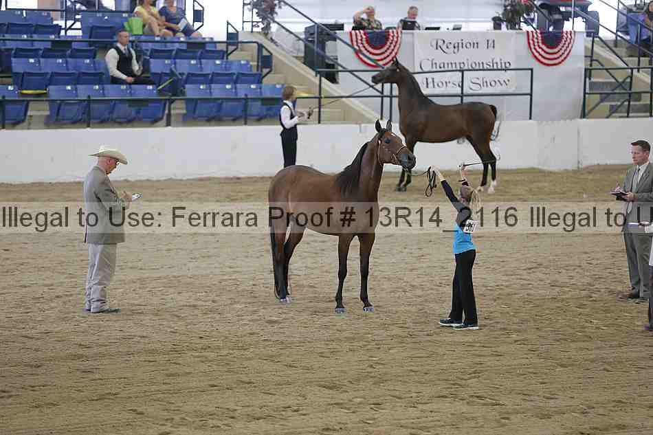 Proof 13r14_2116