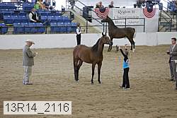 13r14_2116 proof