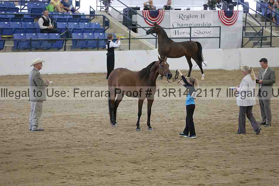 Proof 13r14_2117