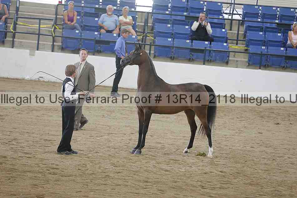 Proof 13r14_2118