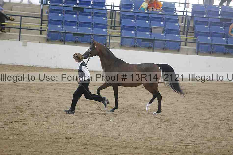 Proof 13r14_2121