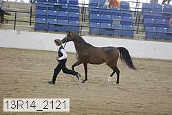 13r14_2121 proof