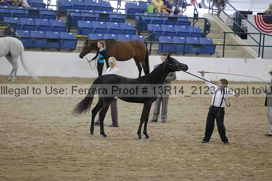Proof 13r14_2123