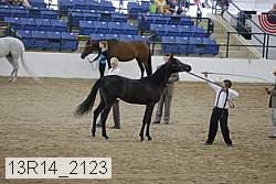 13r14_2123 proof