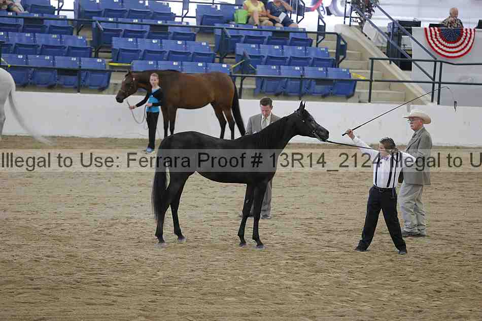 Proof 13r14_2124
