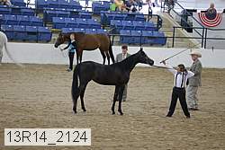 13r14_2124 proof