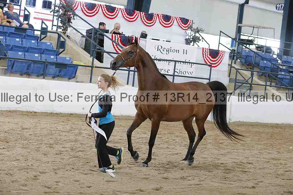 Proof 13r14_2137