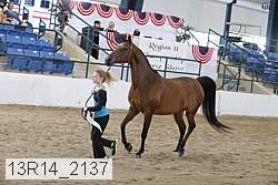 13r14_2137 proof